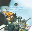 libro Un Bosque Para La Mariposa Monarca